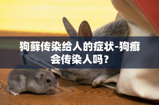 狗蘚傳染給人的癥狀-狗癬會傳染人嗎？