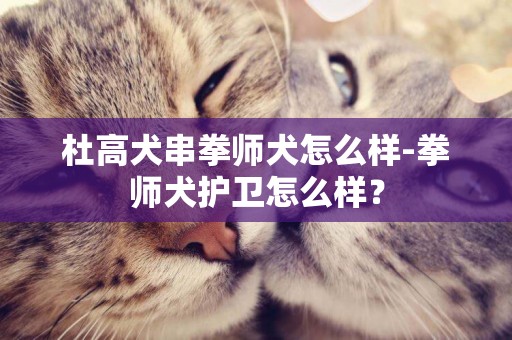 杜高犬串拳師犬怎么樣-拳師犬護衛怎么樣？