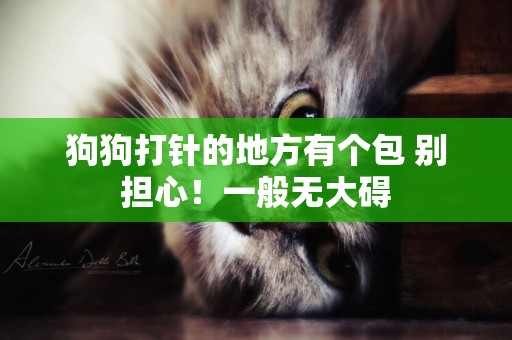 狗狗打針的地方有個包 別擔心！一般無大礙