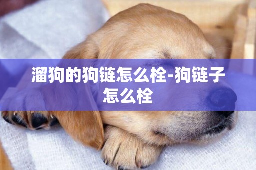 溜狗的狗鏈怎么栓-狗鏈子怎么栓