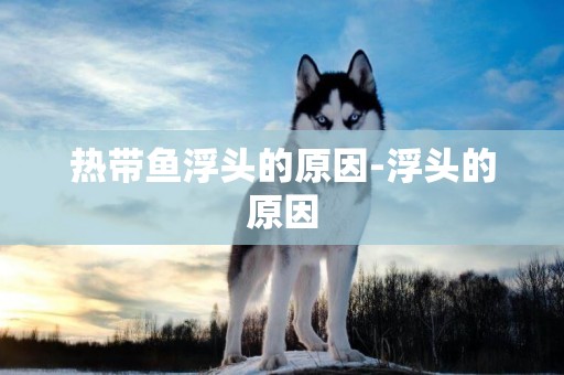 熱帶魚浮頭的原因-浮頭的原因