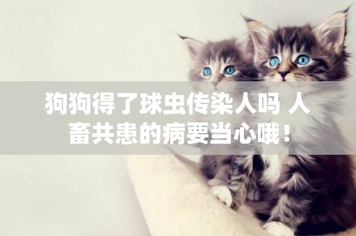 狗狗得了球蟲傳染人嗎 人畜共患的病要當心哦！