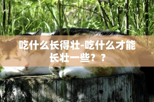 吃什么長得壯-吃什么才能長壯一些？？
