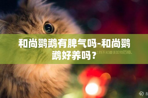 和尚鸚鵡有脾氣嗎-和尚鸚鵡好養嗎？
