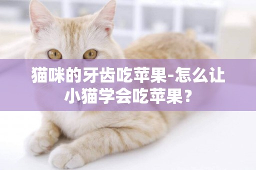 貓咪的牙齒吃蘋果-怎么讓小貓學會吃蘋果？