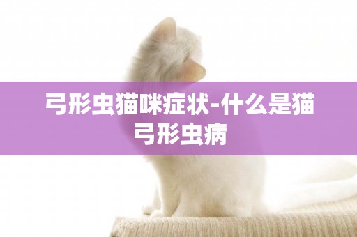 弓形蟲貓咪癥狀-什么是貓弓形蟲病
