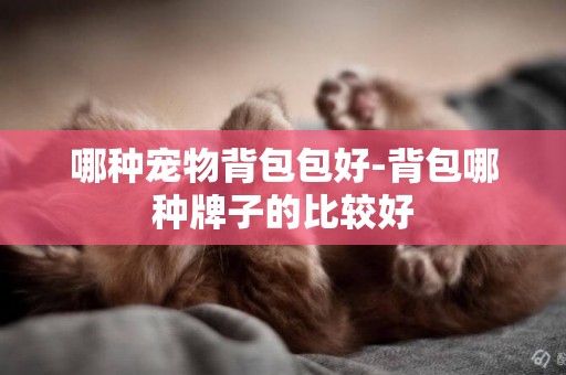 哪種寵物背包包好-背包哪種牌子的比較好