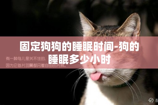 固定狗狗的睡眠時間-狗的睡眠多少小時