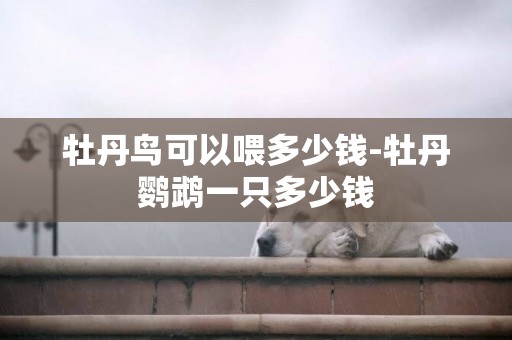 牡丹鳥可以喂多少錢-牡丹鸚鵡一只多少錢