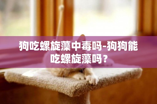 狗吃螺旋藻中毒嗎-狗狗能吃螺旋藻嗎？