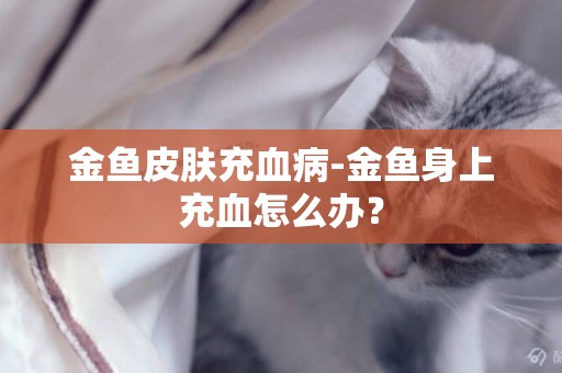 金魚皮膚充血病-金魚身上充血怎么辦？
