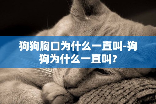 狗狗胸口為什么一直叫-狗狗為什么一直叫？
