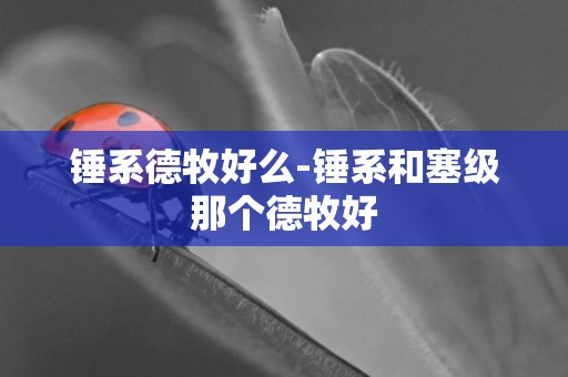 錘系德牧好么-錘系和塞級那個德牧好