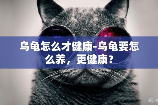 烏龜怎么才健康-烏龜要怎么養，更健康？