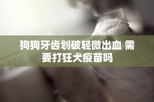 狗狗牙齒劃破輕微出血 需要打狂犬疫苗嗎