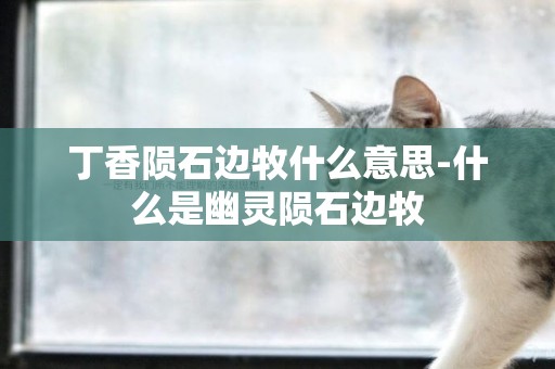 丁香隕石邊牧什么意思-什么是幽靈隕石邊牧
