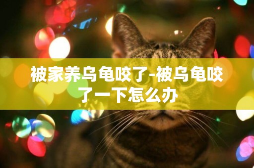 被家養烏龜咬了-被烏龜咬了一下怎么辦