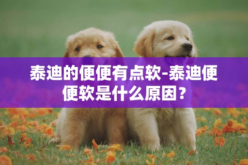 泰迪的便便有點軟-泰迪便便軟是什么原因？