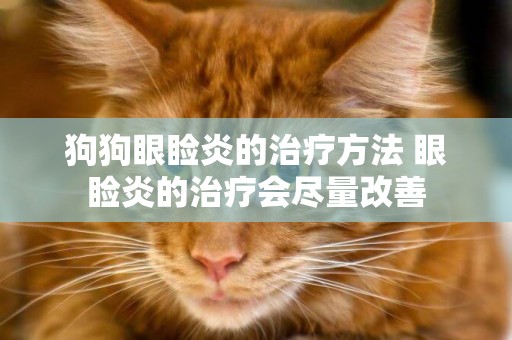 狗狗眼瞼炎的治療方法 眼瞼炎的治療會盡量改善