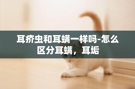 耳疥蟲和耳螨一樣嗎-怎么區分耳螨，耳垢