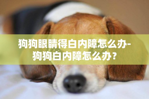 狗狗眼睛得白內障怎么辦-狗狗白內障怎么辦？
