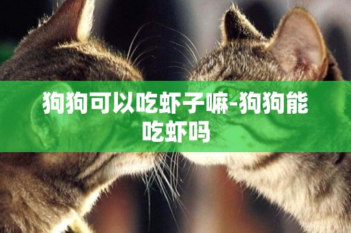 狗狗可以吃蝦子嘛-狗狗能吃蝦嗎