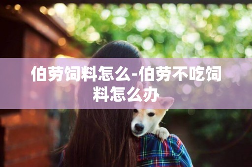 伯勞飼料怎么-伯勞不吃飼料怎么辦