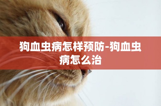 狗血蟲病怎樣預防-狗血蟲病怎么治