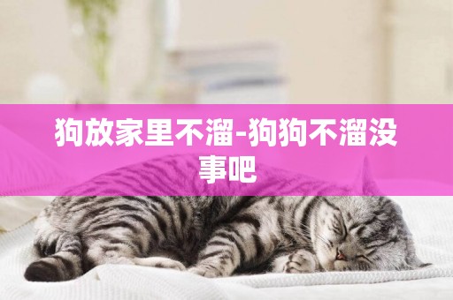 狗放家里不溜-狗狗不溜沒事吧