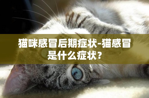 貓咪感冒后期癥狀-貓感冒是什么癥狀？