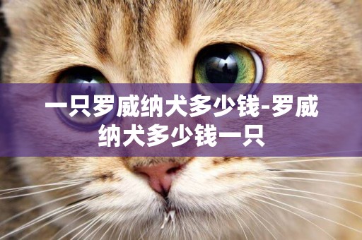 一只羅威納犬多少錢-羅威納犬多少錢一只