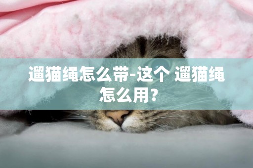 遛貓繩怎么帶-這個 遛貓繩 怎么用？