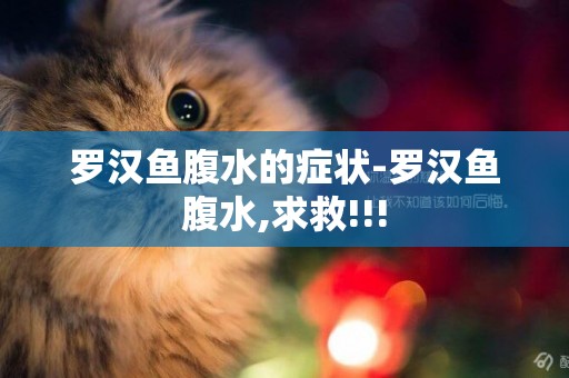 羅漢魚腹水的癥狀-羅漢魚腹水,求救!!!