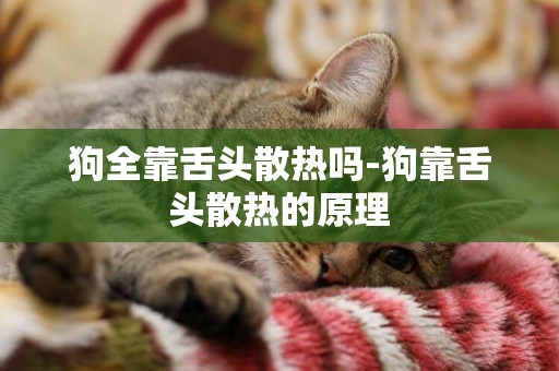 狗全靠舌頭散熱嗎-狗靠舌頭散熱的原理
