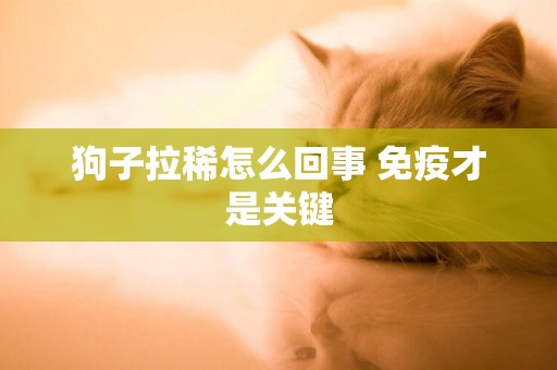 狗子拉稀怎么回事 免疫才是關鍵