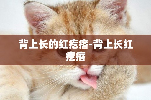 背上長的紅疙瘩-背上長紅疙瘩