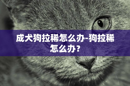 成犬狗拉稀怎么辦-狗拉稀怎么辦？