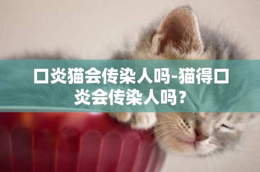 口炎貓會傳染人嗎-貓得口炎會傳染人嗎？
