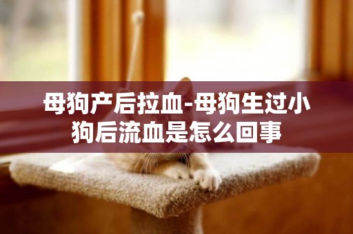 母狗產后拉血-母狗生過小狗后流血是怎么回事