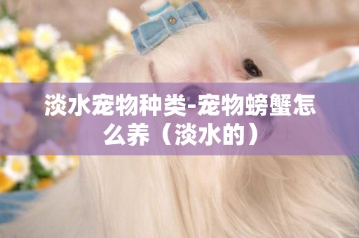 淡水寵物種類-寵物螃蟹怎么養（淡水的）