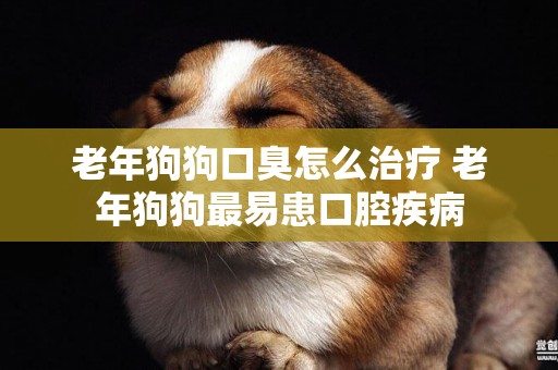 老年狗狗口臭怎么治療 老年狗狗最易患口腔疾病