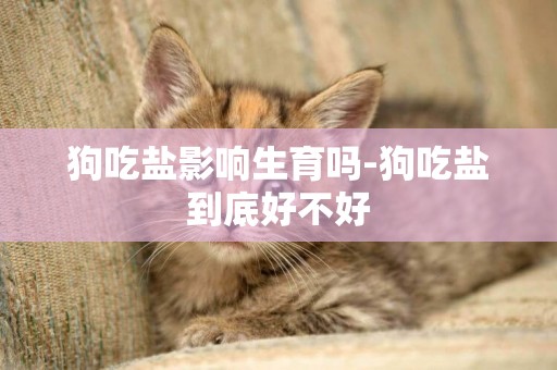 狗吃鹽影響生育嗎-狗吃鹽到底好不好