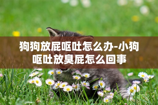 狗狗放屁嘔吐怎么辦-小狗嘔吐放臭屁怎么回事