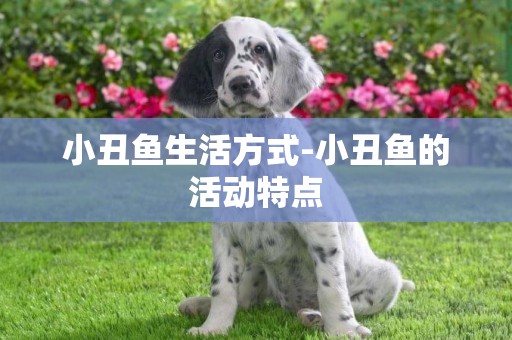 小丑魚生活方式-小丑魚的活動特點