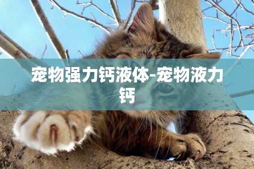 寵物強力鈣液體-寵物液力鈣