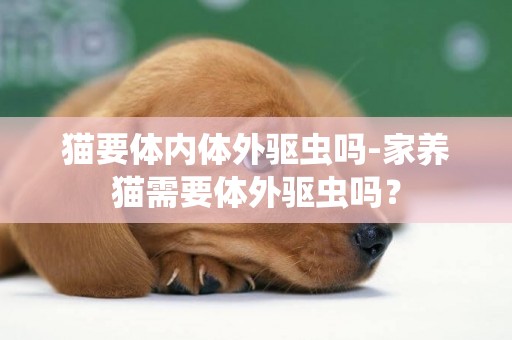 貓要體內體外驅蟲嗎-家養貓需要體外驅蟲嗎？