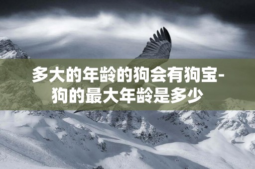 多大的年齡的狗會有狗寶-狗的最大年齡是多少