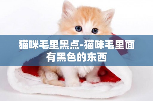 貓咪毛里黑點-貓咪毛里面有黑色的東西