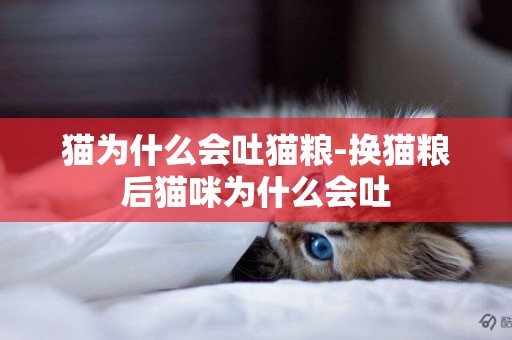 貓為什么會吐貓糧-換貓糧后貓咪為什么會吐