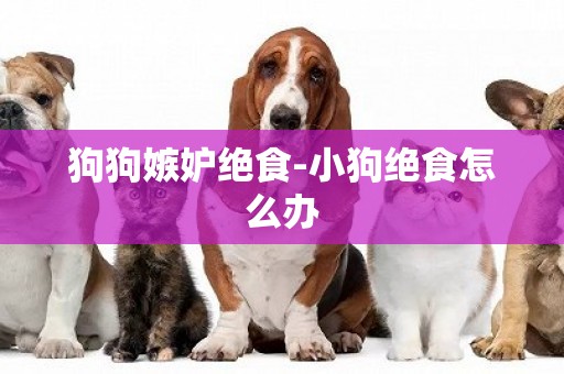 狗狗嫉妒絕食-小狗絕食怎么辦